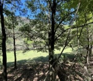 a764e715-cb1b-4fd1-ba46-40083997cd85 8
