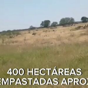 7a75a900-93db-4157-9d05-0d642b4d2316