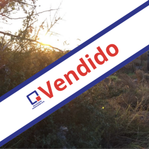 Captura de pantalla 2025-12-10 a la(s) 11.25.25